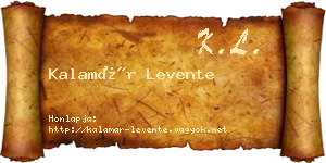 Kalamár Levente névjegykártya